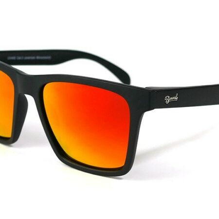Lunettes de Soleil Polarisées SunGuard